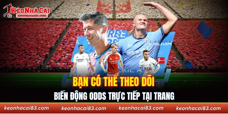 Bạn có thể theo dõi trực tiếp biến động odds 