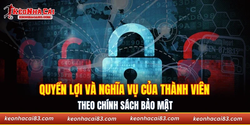 Quyền lợi và nghĩa vụ của thành viên theo chính sách bảo mật